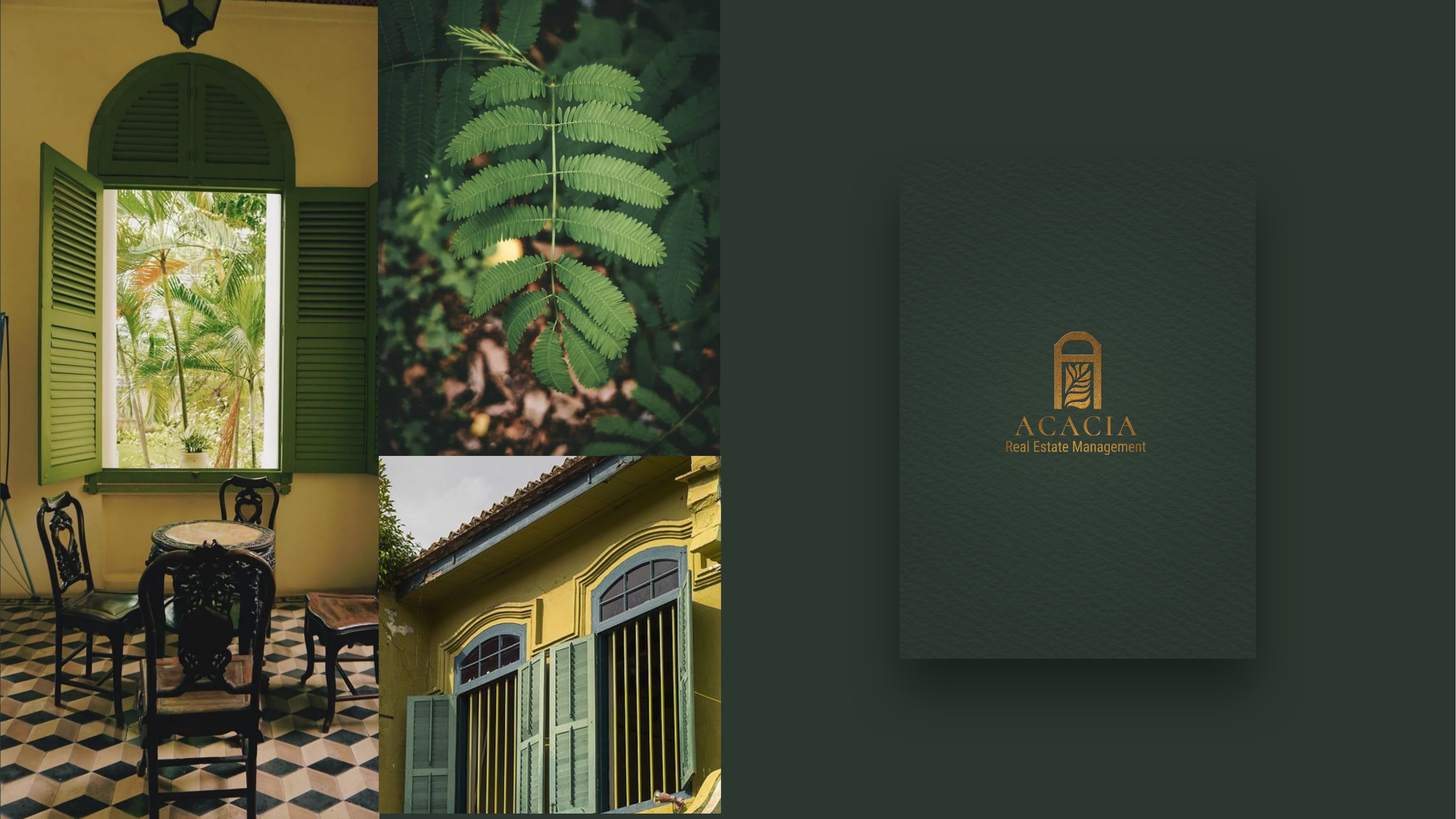 Acacia moodboard and gold logo applied to a dark green cover