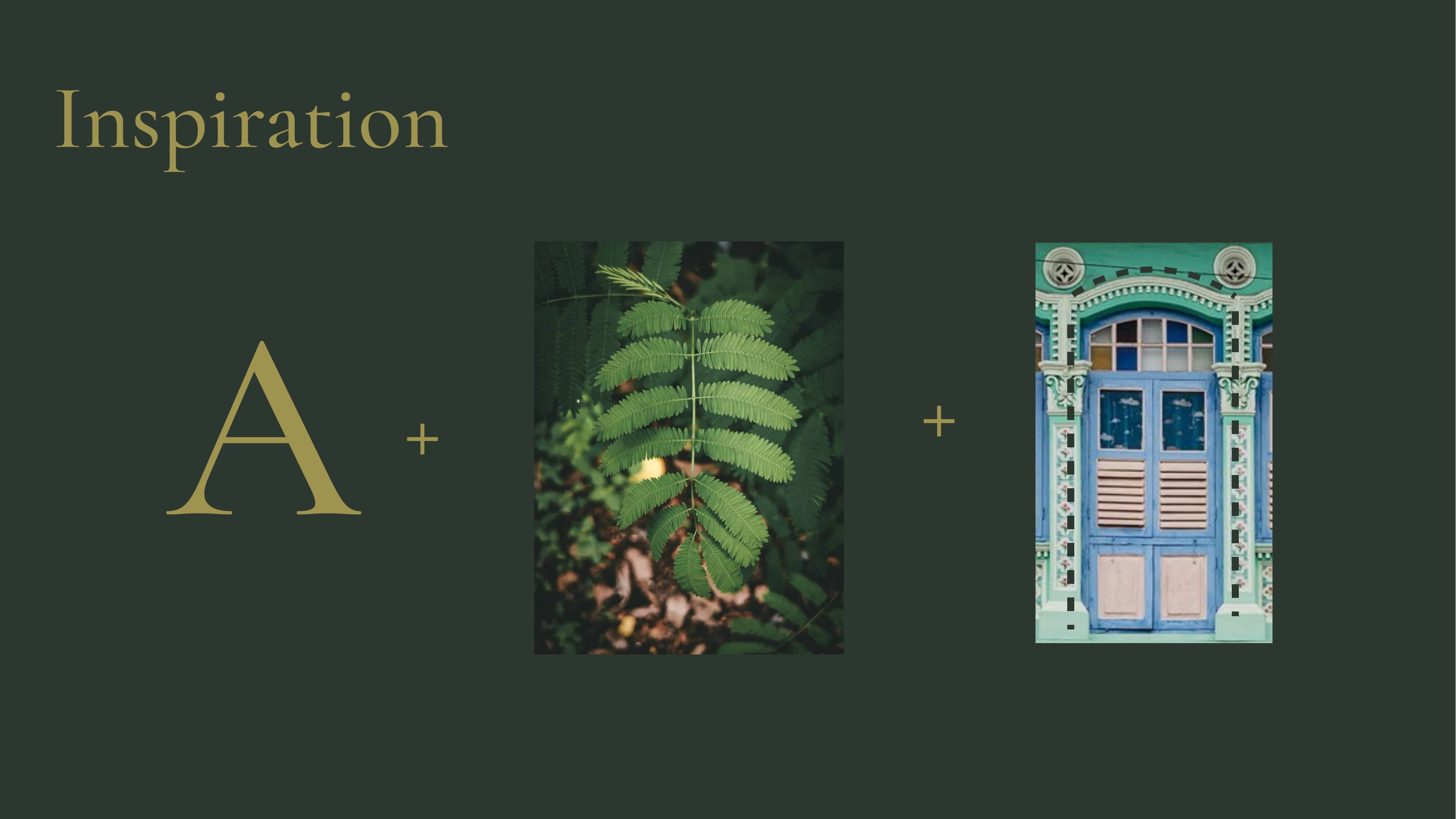 Acacia identity inspiration featuring a letter A, leaf and heritage doorway